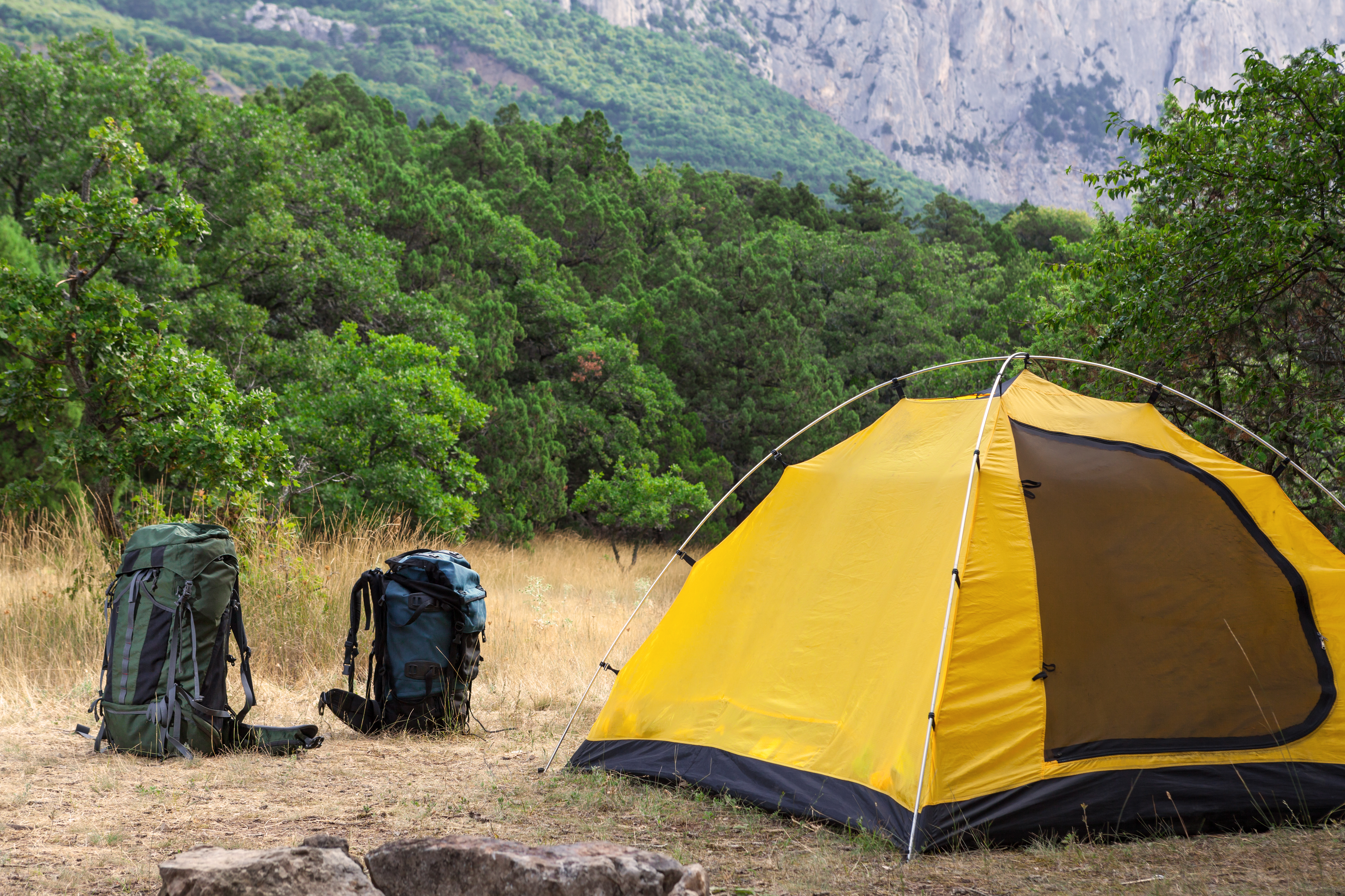 Backpacking Tents